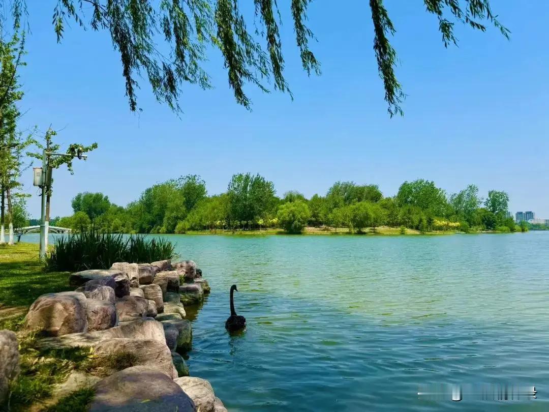 世界越变越快，人心越走越远，我们被欲望推着向前，被规则裹着前行，被人为的喧嚣与算