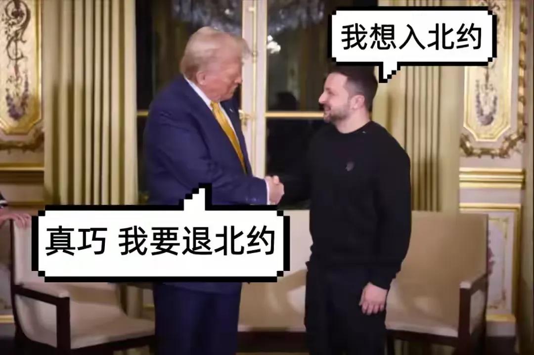 没有美国的北约究竟会是啥样？特朗普政府威胁要退出北约，其真正目的不在于是否退出北