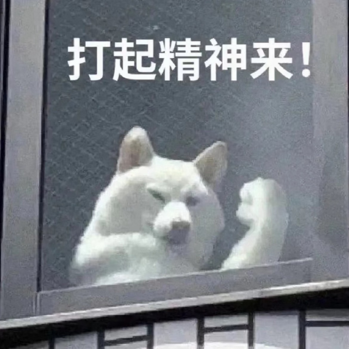 感觉黄金价格应该是触底了！国内金价跌幅放缓，国际金价涨势迅猛，是不是代表可以加仓