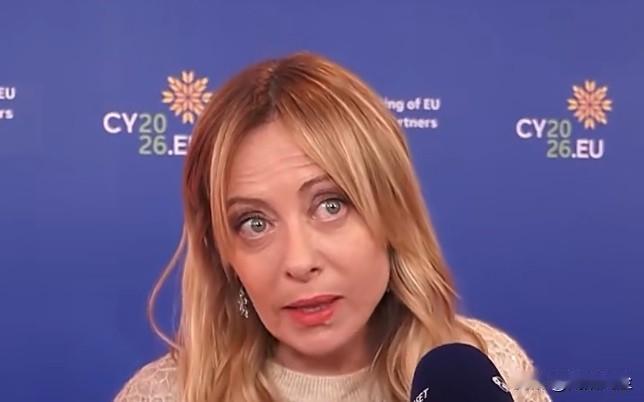 意大利总理梅洛尼在欧盟峰会上表示，北约应保持团结，加强欧洲支柱并与美国互补；欧委