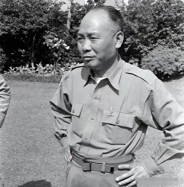 1949年5月，上海月浦战场战况异常惨烈。国民党军长刘玉章依托坚固工事顽强固守，