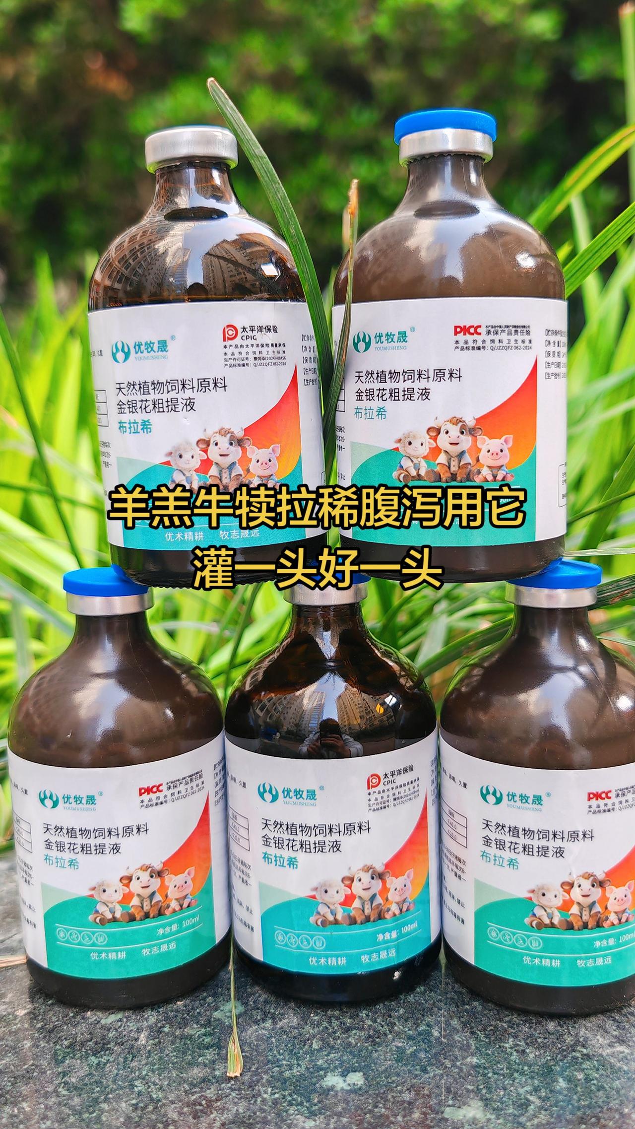 养羊人 农村养羊 牛羊养殖