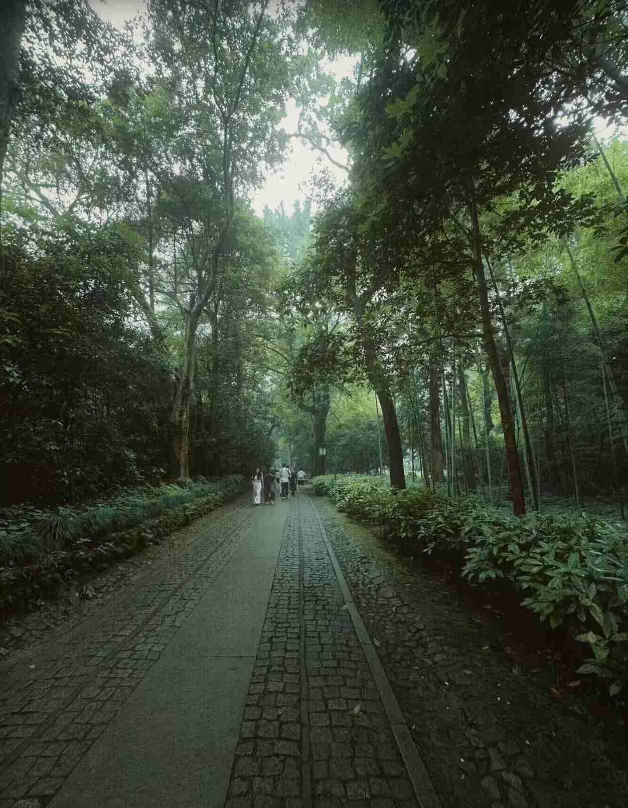我的今日状态：😁轻松愉快
我这里的天气：☁️阴天

 
🧸|🅖☻☻🅓 ’
