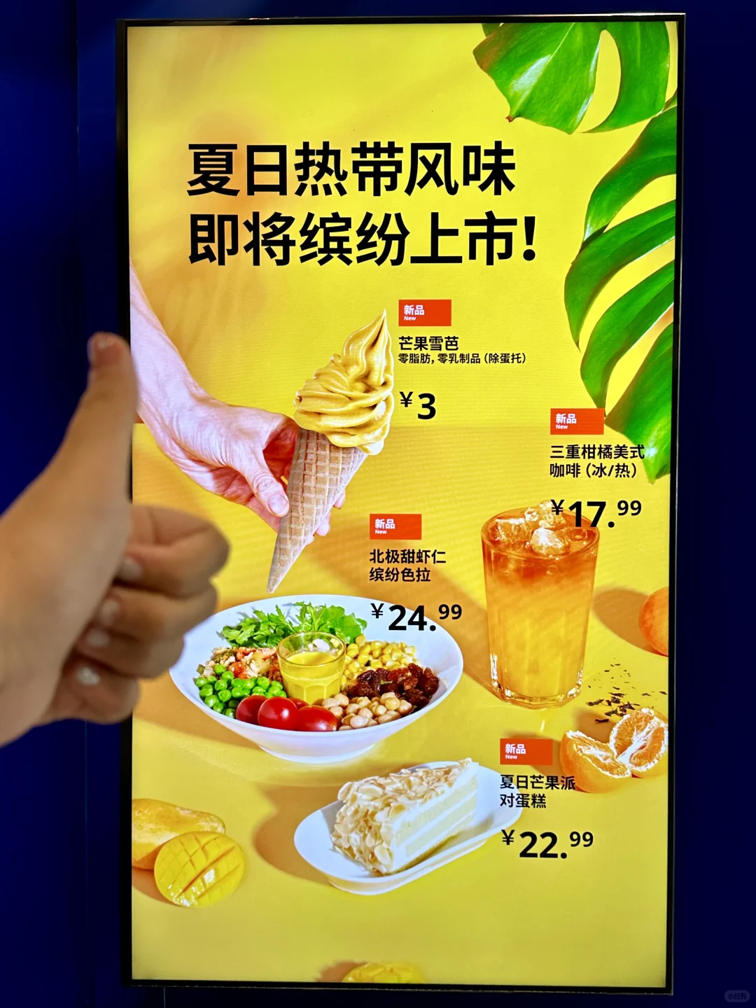 卧卧卧卧…青岛终于有了！！！