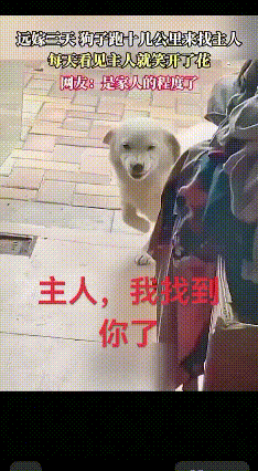 谁能不被这份跨越距离的想念打动！

        女子远嫁，新家距离娘家十几公
