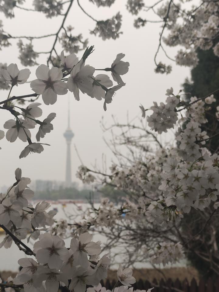 走过半生才懂：向内修行，才是生命顶配
 
人这一生，究竟该向外追逐风景，还是向内