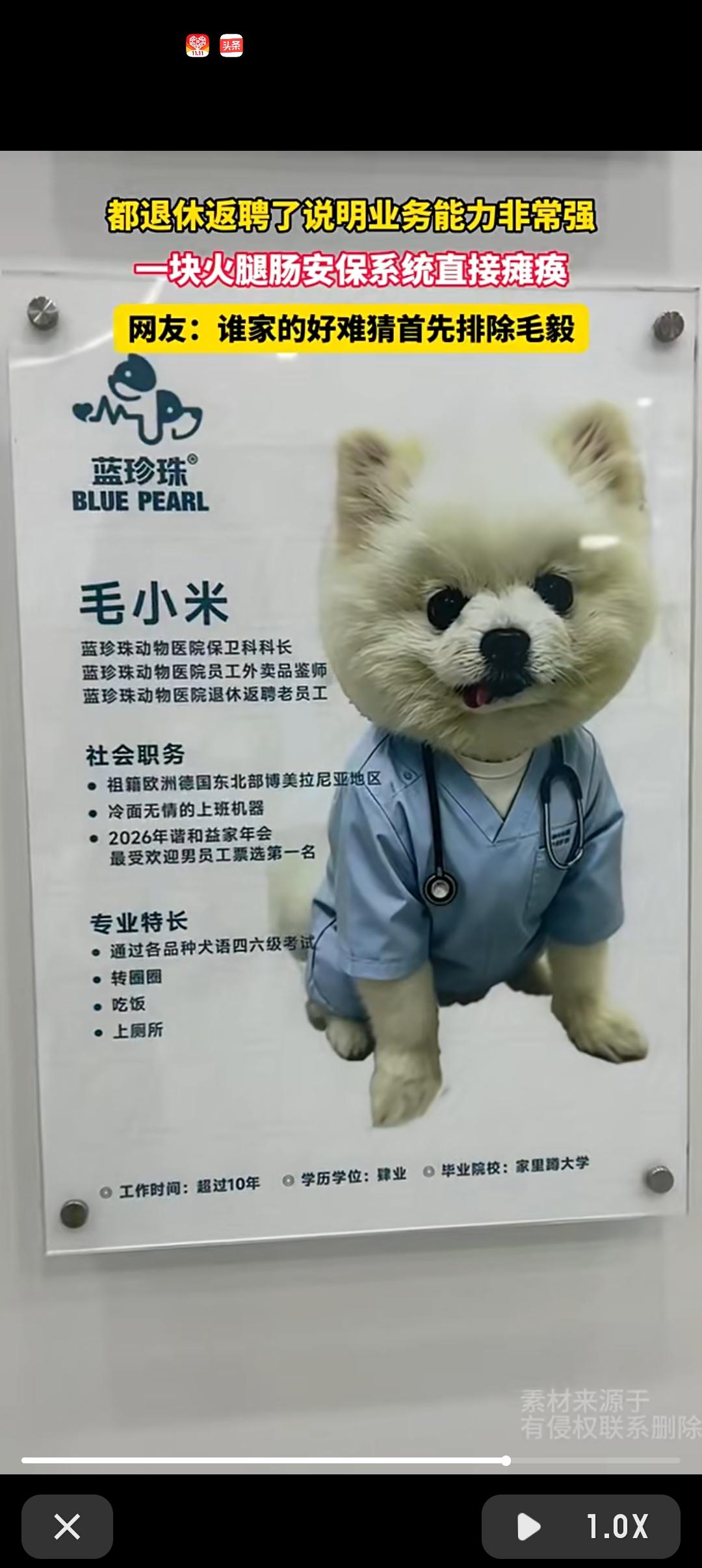这，博流量的吧！一堆医生简介中，出现一只狗，虽然职位是保卫科科长。

但是，一只