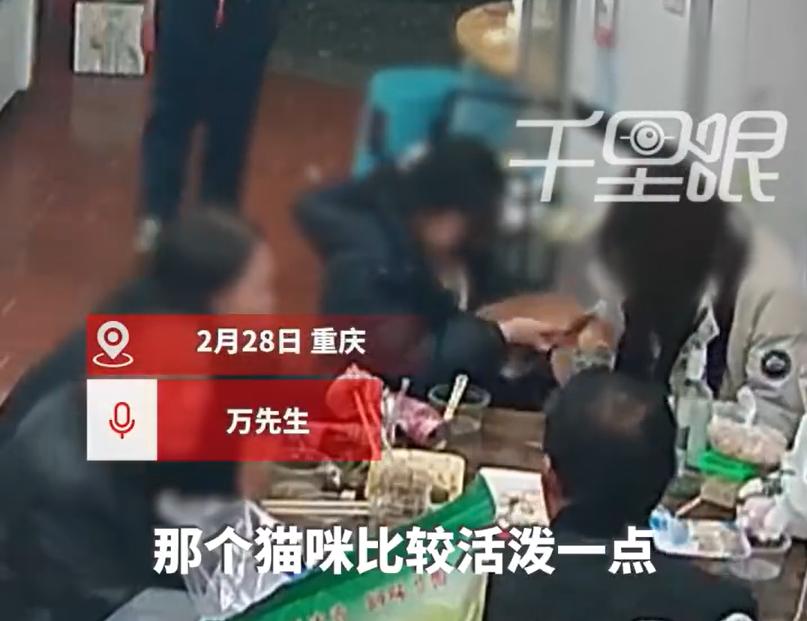 有句话说是：顺手牵羊。这两位女生，来了个“顺手牵猫”，是真爱猫啊！
前不久，重庆