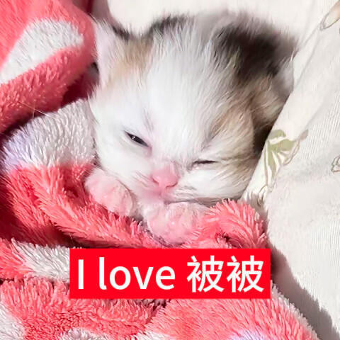 进入温暖的你🥵 