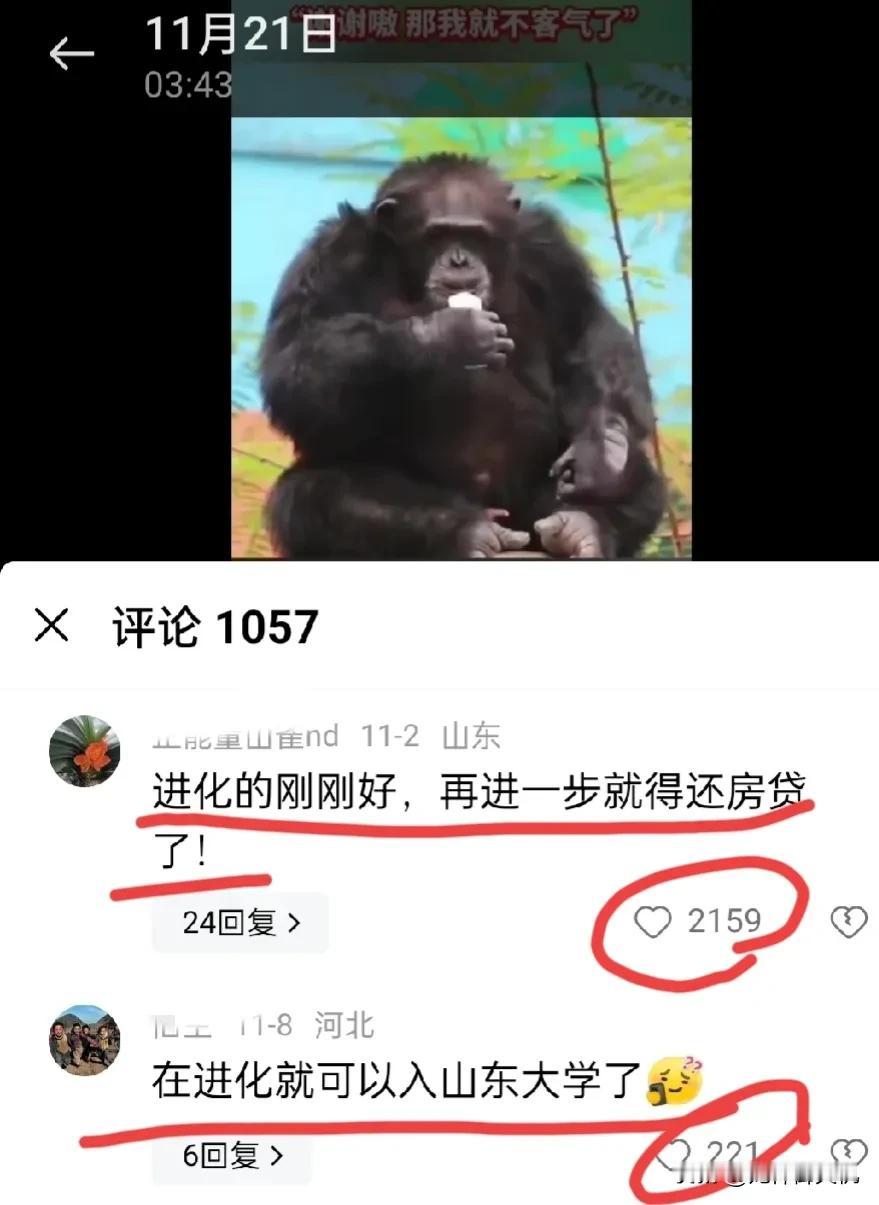 如下图牛"万物皆某事”的论不对题的乱评，这就是瞎带节奏的典型。

何谓“万物皆某