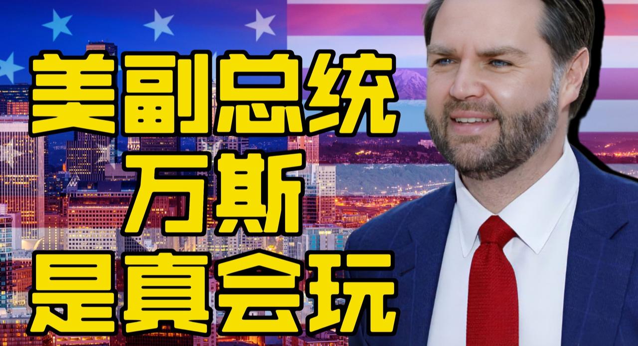 美国最会玩的副总统哔哩哔哩动画  ​​​