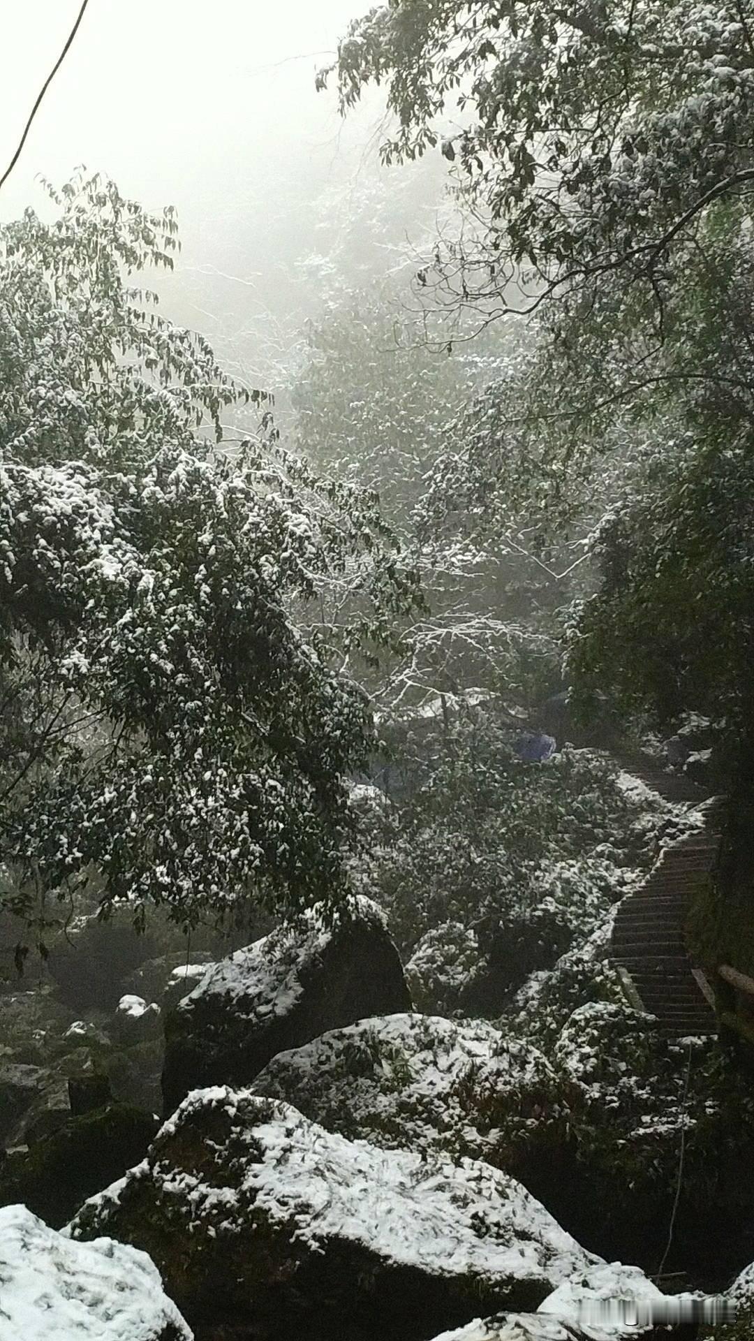 现在的电商行业，真的只能用四个字形容：苦不堪言。对电商商家来说，简直是天都要塌了