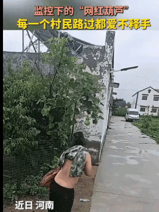 路边树上挂满了成熟的果子，沉甸甸垂在枝头，路过的行人来来往往，却始终没有人随意采