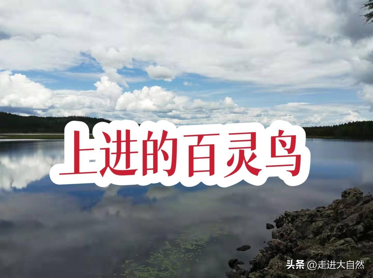 快来看看我新换的主页背景吧