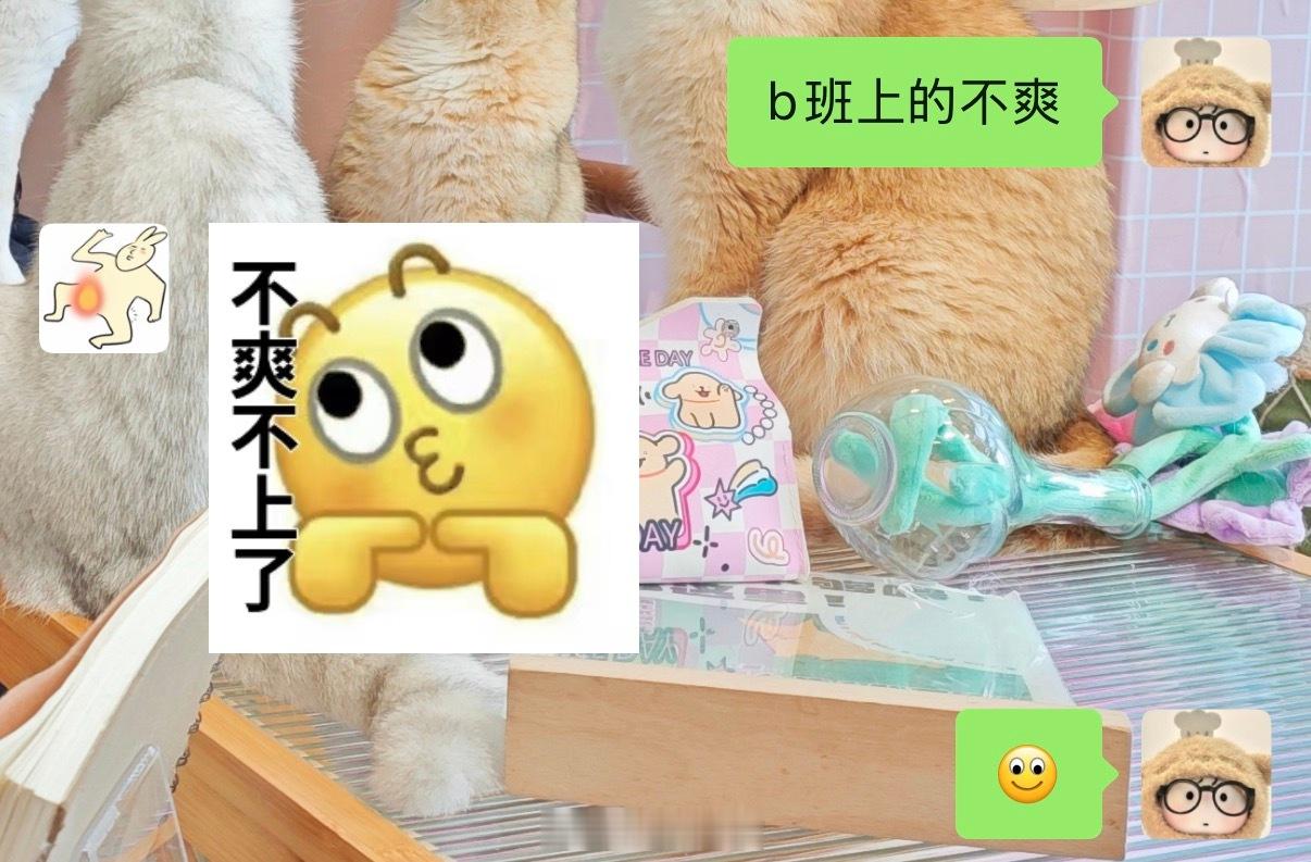 只要说上班不爽就回我这句话 
