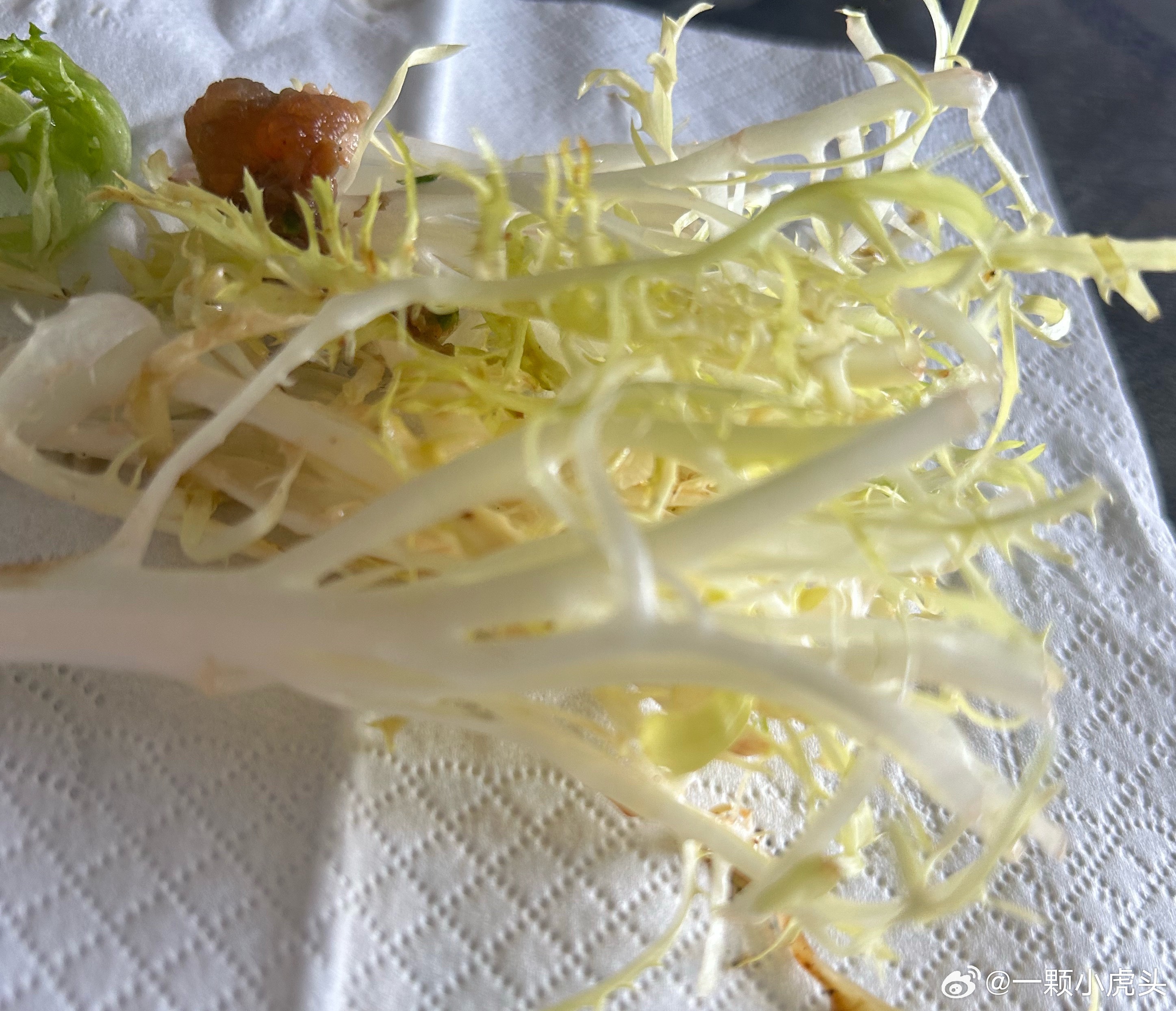 世界上怎么会有沙拉这么难吃的食物。 