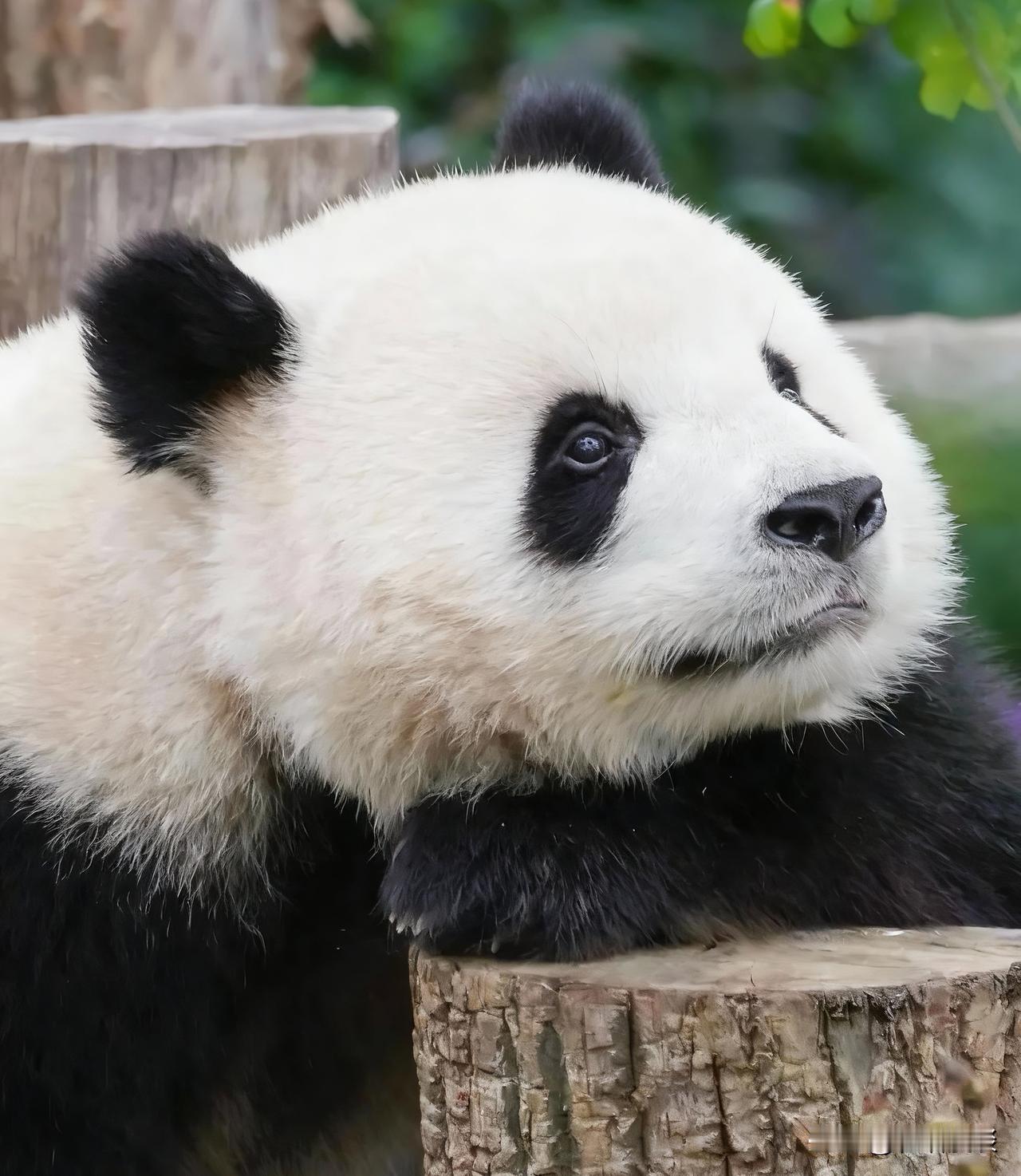 🍃
所有的山穷水尽，
都藏着峰回路转。

就算一地鸡毛，
咱也要搓出一个鸡毛掸