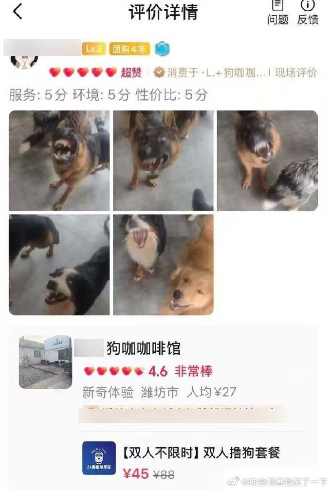 6314看着有点热情 