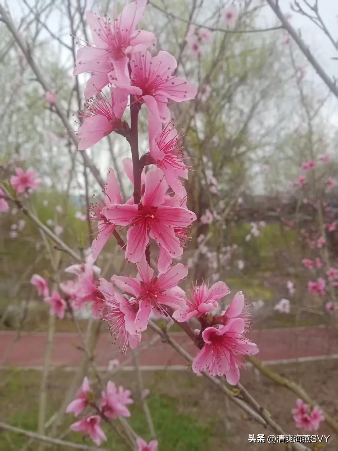 我敢在这里保证，我在看条友们所写的文章或是微头条的时候，都会耐心细致地去看完的。