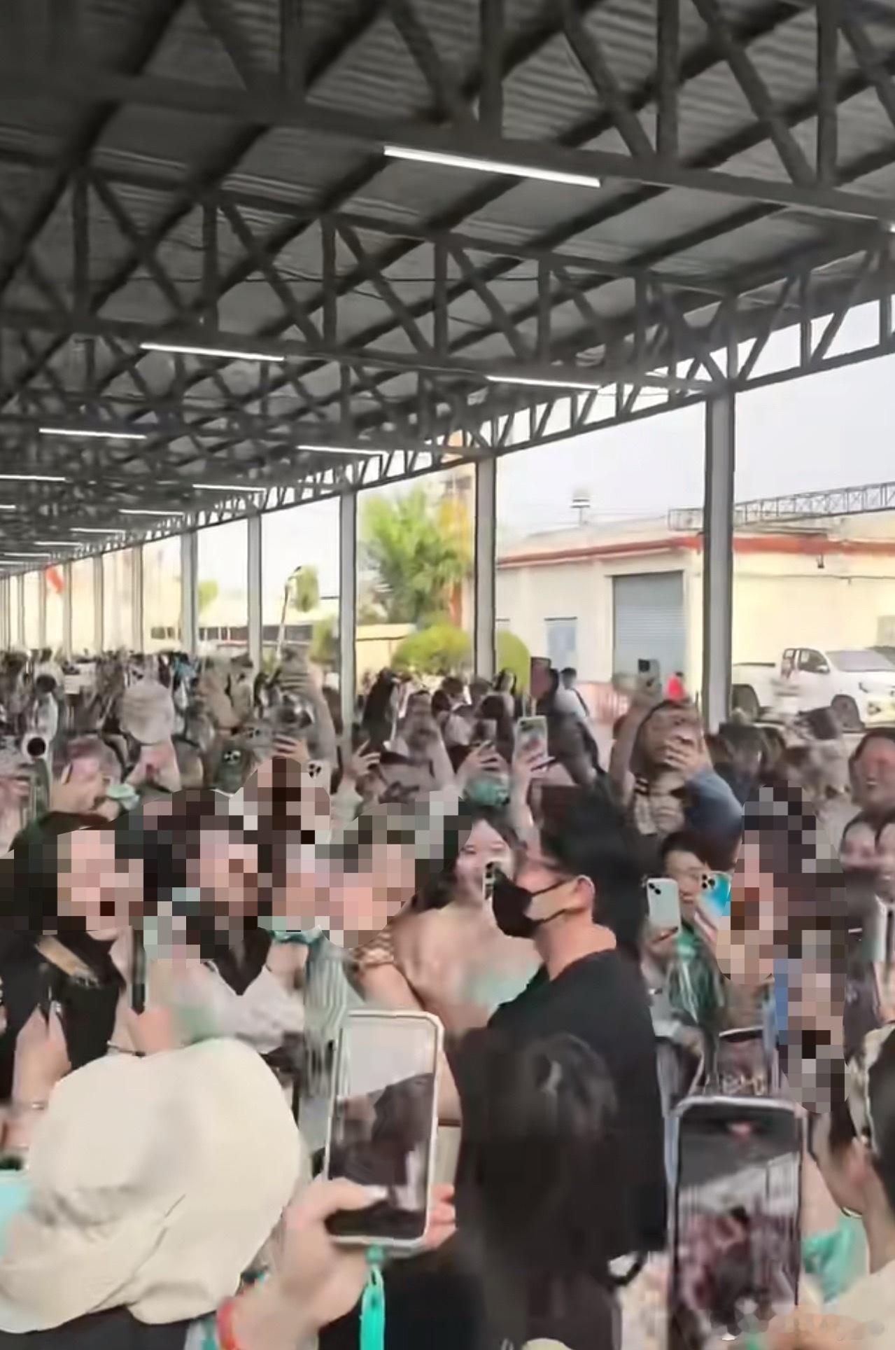 妮子：我做演员时都没这么火 