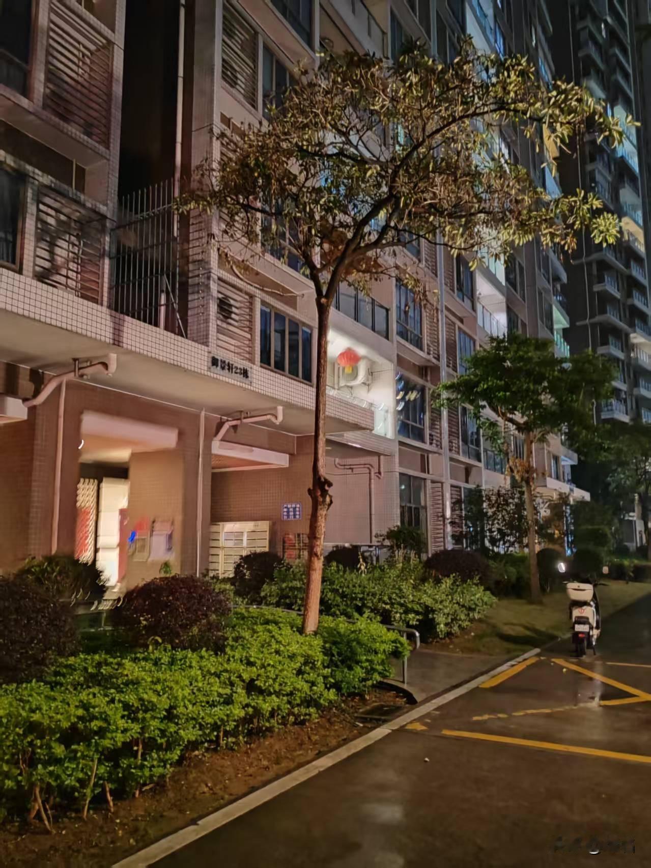 今天立夏，下起了小雨。
空气变得湿润清凉，褪去了燥热，在淅淅沥沥的雨声里，夏天悄