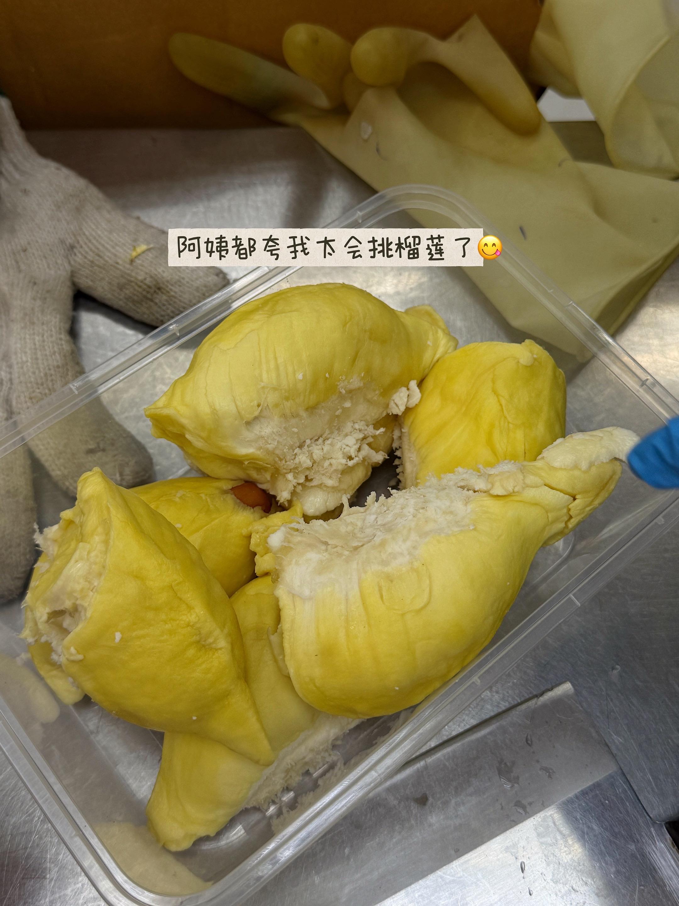 澳门旅行vlog