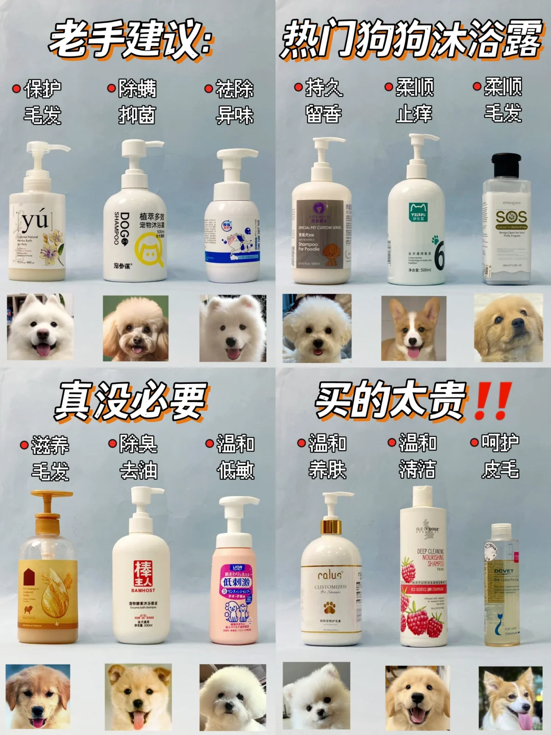 养狗老手分享！关于选狗狗沐浴露我有发言权