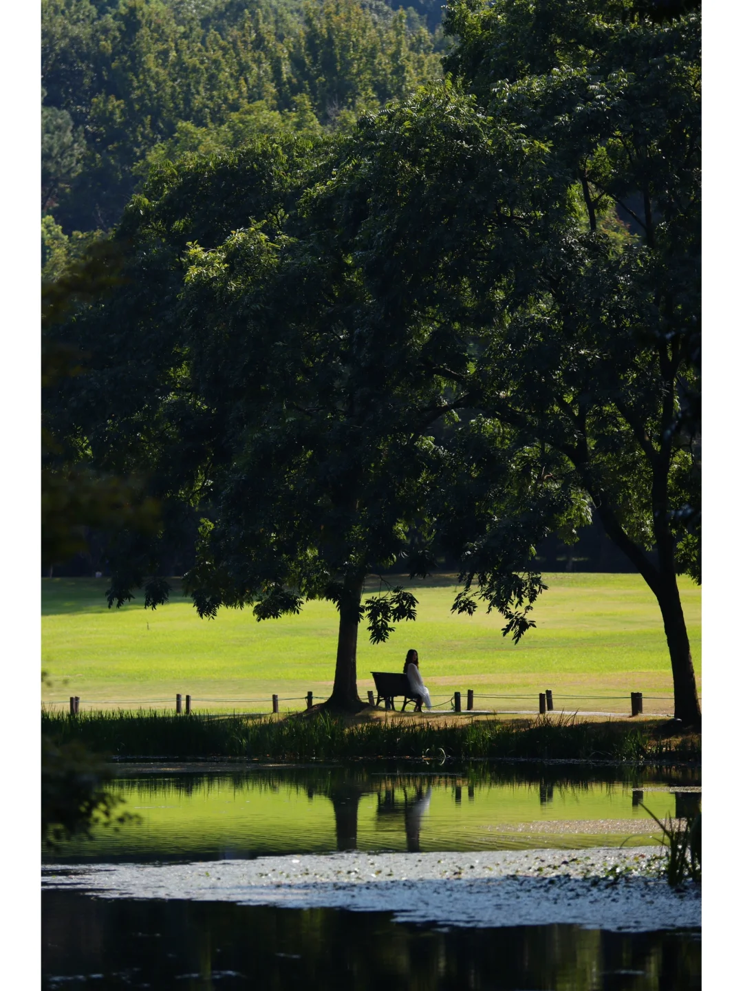 人生建议：逛完这个公园再离开杭州🍃