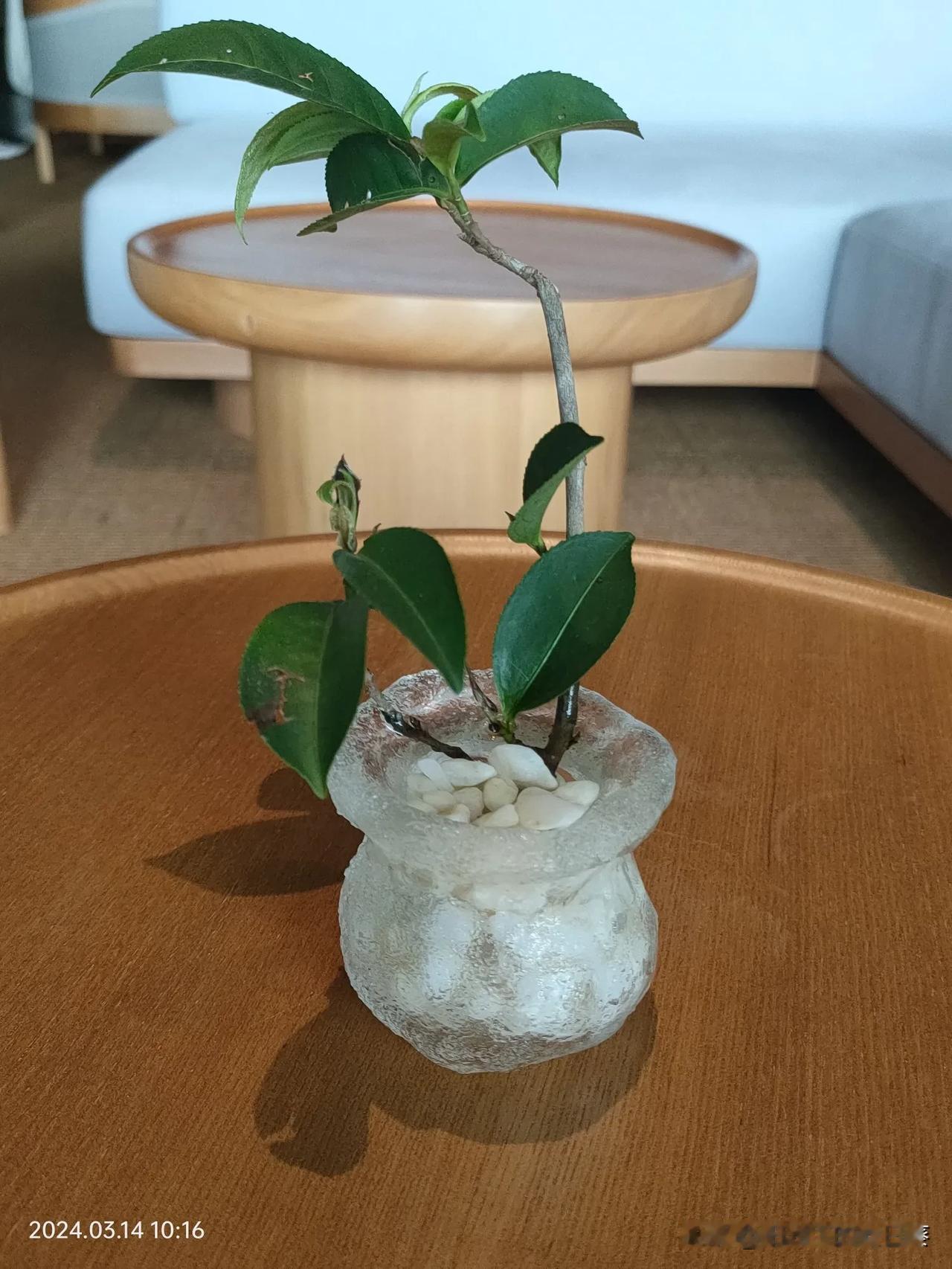 管住嘴，迈开腿
只要管住嘴，不该吃的不吃，该吃的适当吃，多锻炼！自然就瘦下来了！