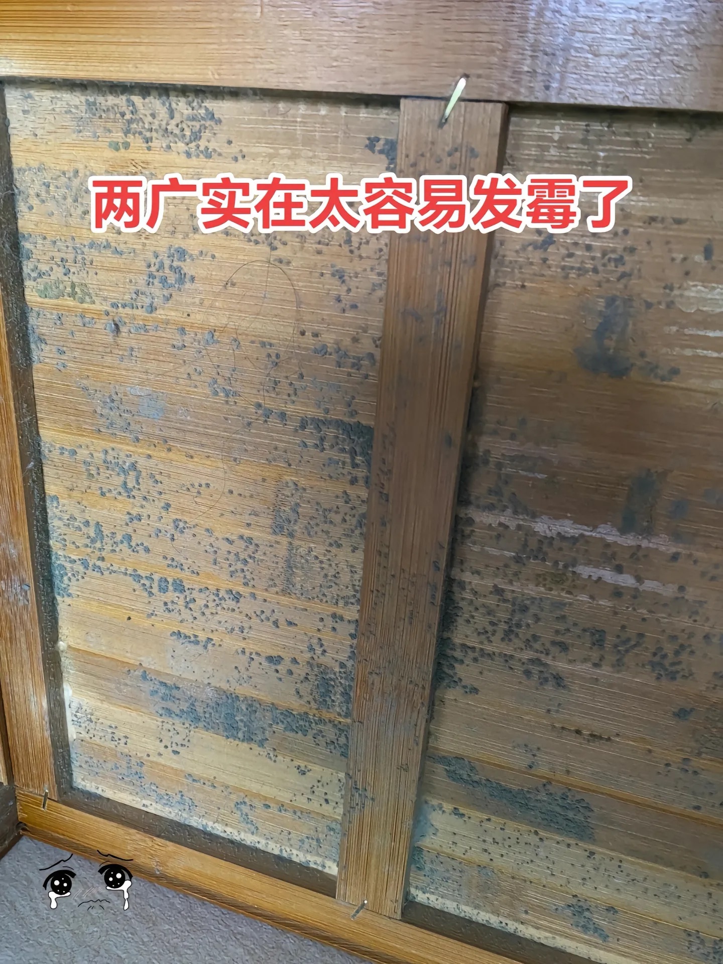 广东人家里万物皆可霉 ​​​
