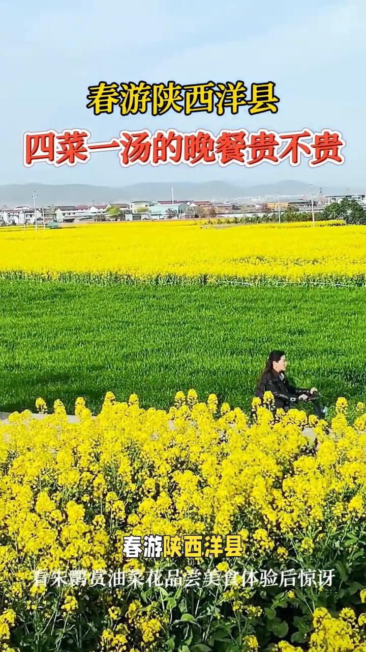 春游陕西洋县，四菜一汤的晚餐贵不贵？看朱鹮赏油菜花，品尝美食体验后惊讶。
春游陕