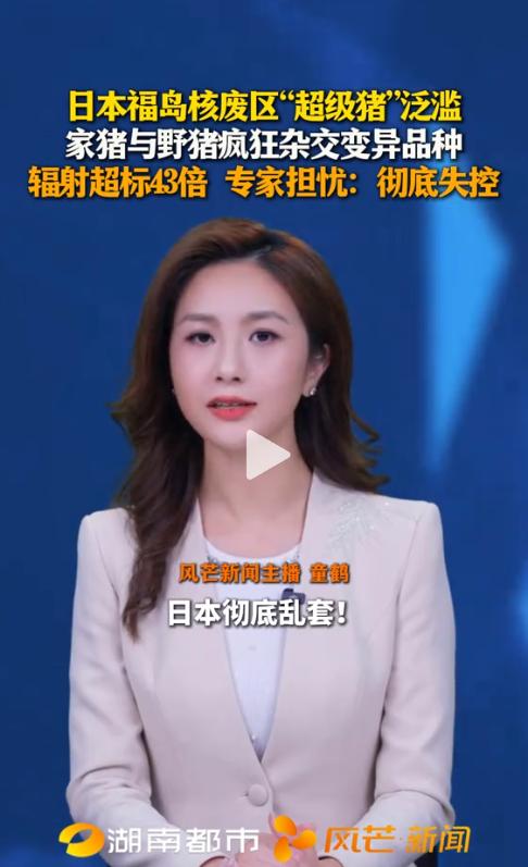 太吓人了！日本，近日福岛核废区传出噩耗：一种杂交野猪疯狂繁殖，数量已突破10万头