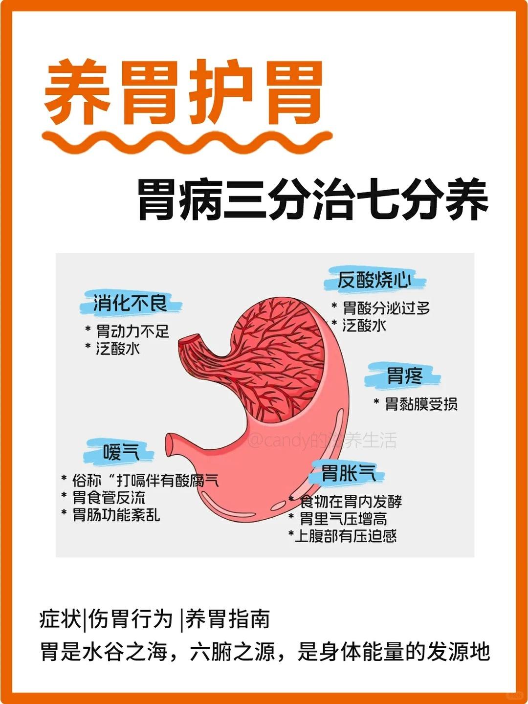 养胃护胃很关键！如何高效调理肠胃？。