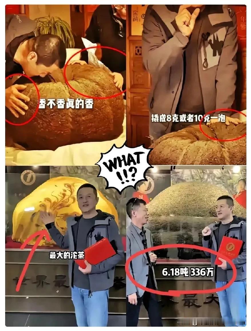 难怪李亚鹏会破产，
别人直播卖零食，
他可好，直接卖6.18吨的
世界最大沱茶。