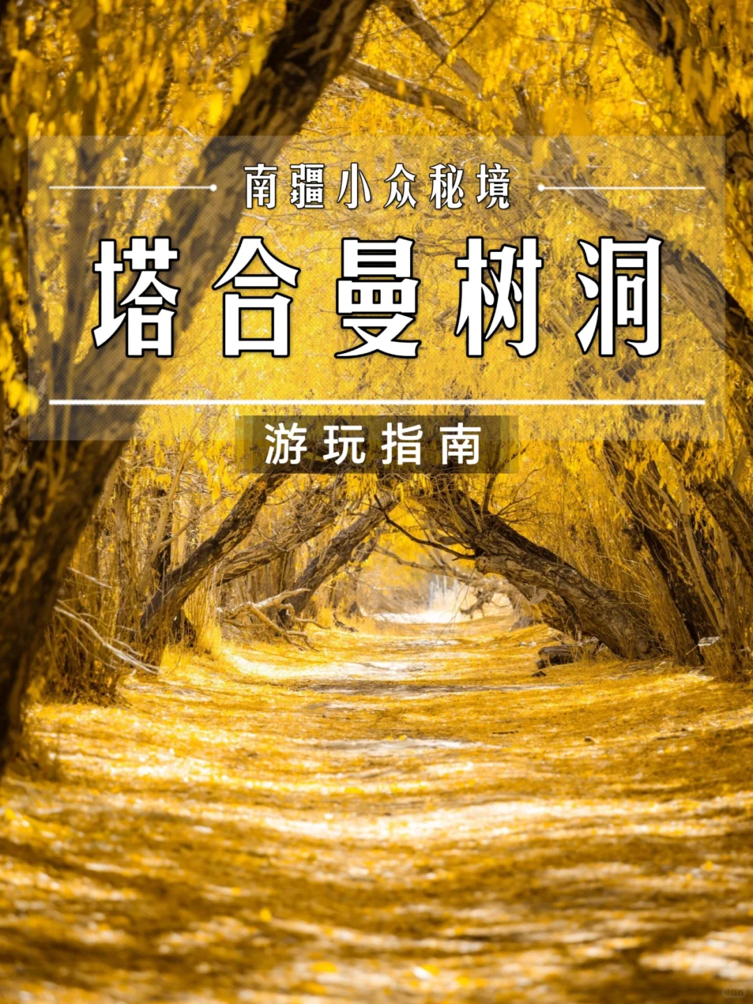南疆塔合曼树洞公路——通往秘境的时光隧道