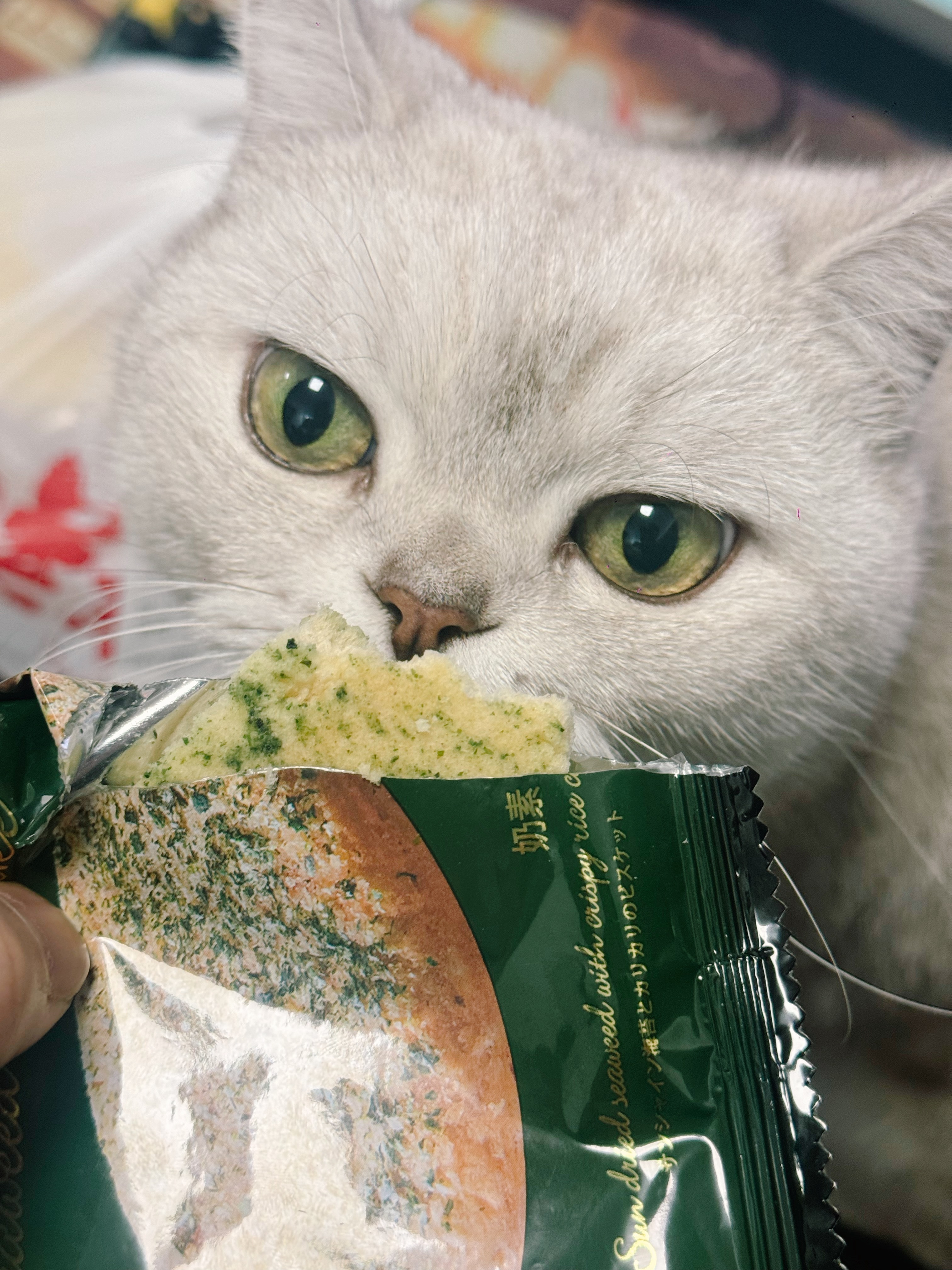 最近被这个海苔米饼害惨了！根本停不下来爱吃海苔味的请无脑买！超浓海苔味😭好吃到