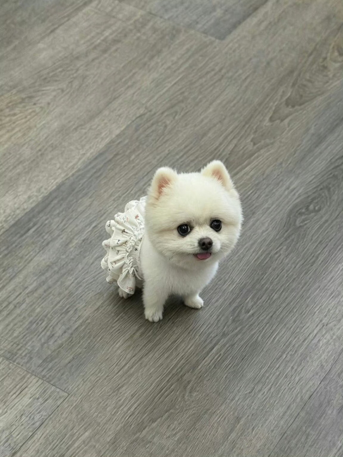 啊啊啊啊我哥哥婴儿来的吧小小一个，好可爱吧[期待][期待] ​​​