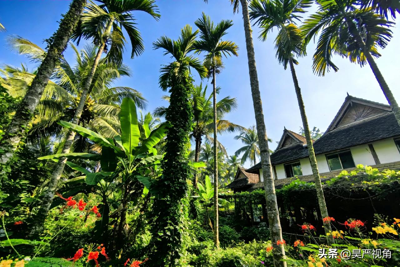 记得第一次去西双版纳，那时还没有思小高速公路，开着车一路颠簸，从磨黑下了高速，便