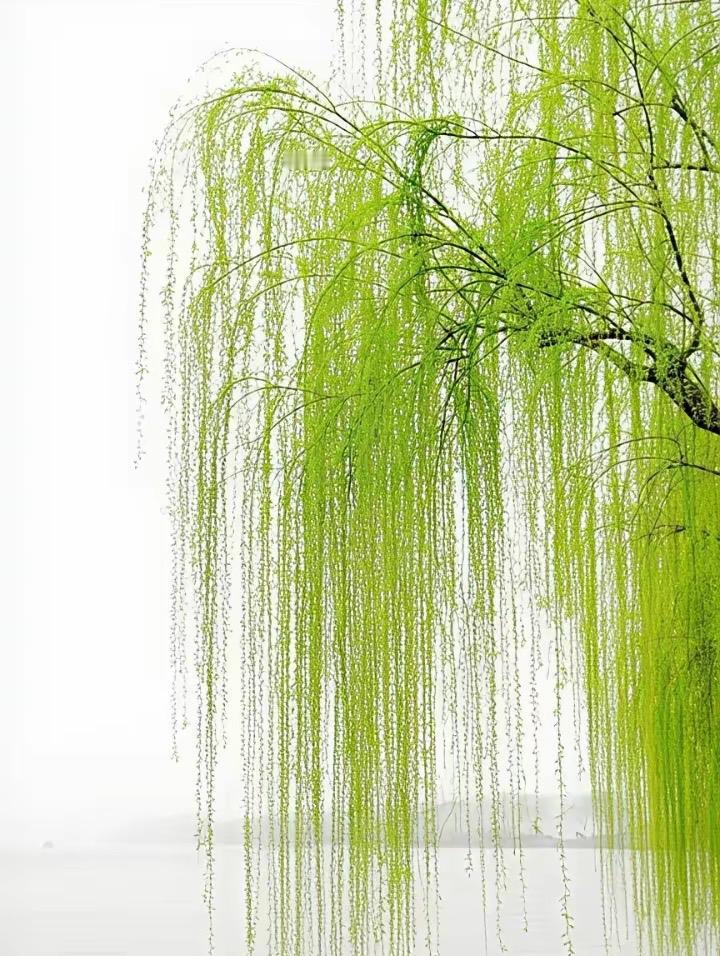 春回柳绿花增色，
夏看荷塘箭粉红。
横批：《春夏之景》