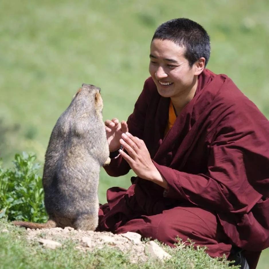每天问一下自己：今天计划完成了吗？今天有没有辜负自己？今天还有哪些遗憾？