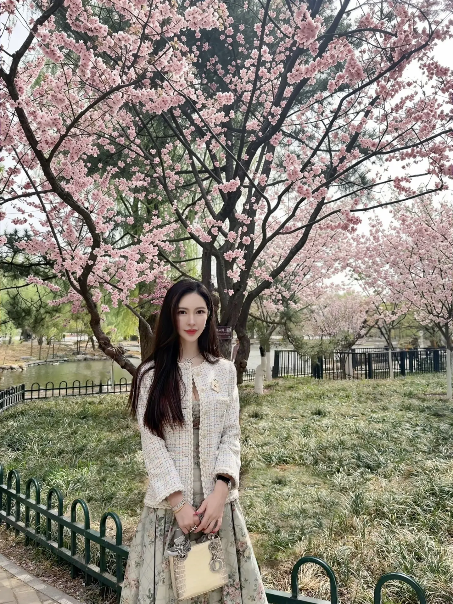 总说樱花是春天的浪漫，其实最浪漫的， 是有人把你眼里的春天，好好藏进了...