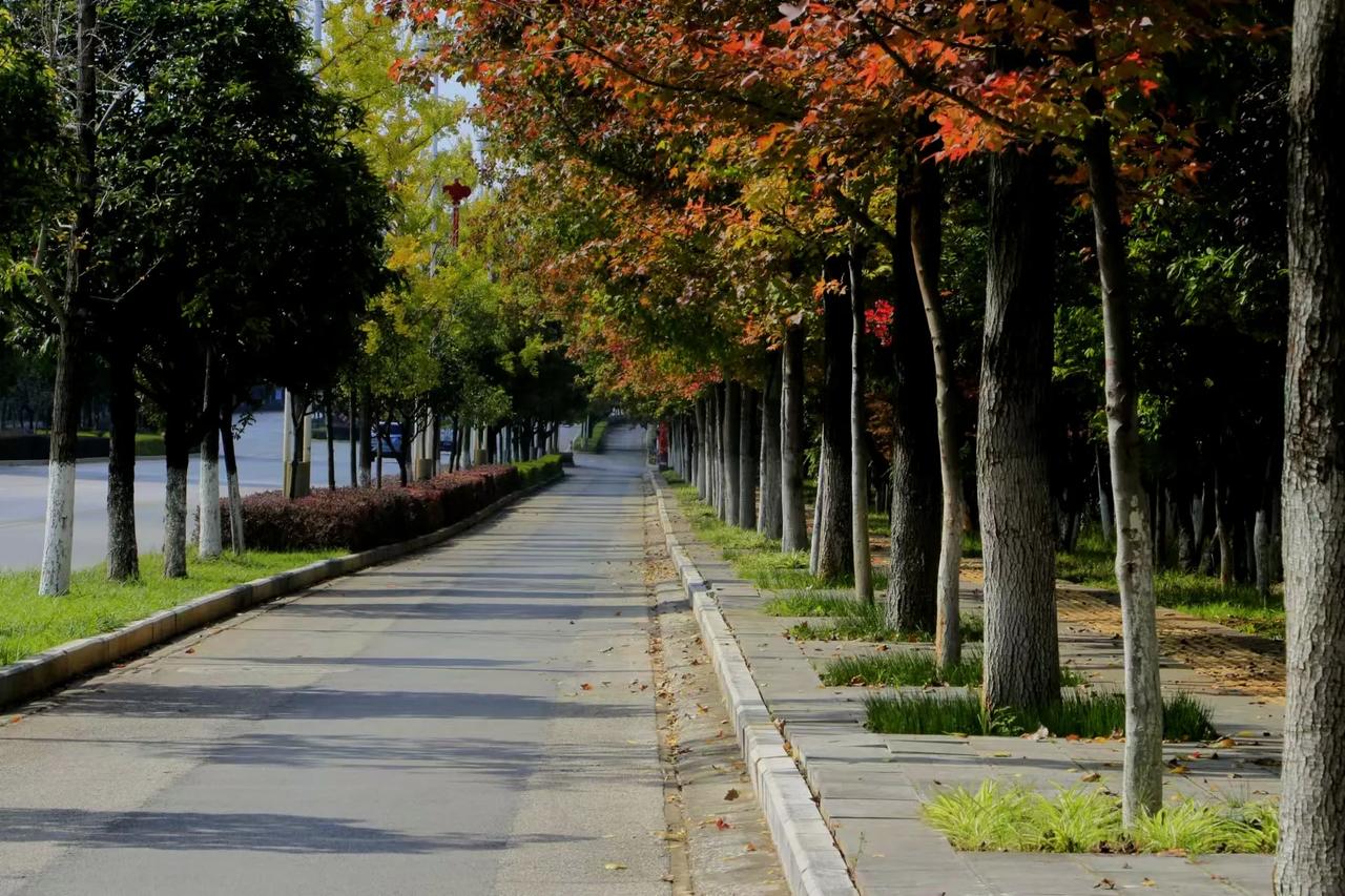 石林大道秋意浓