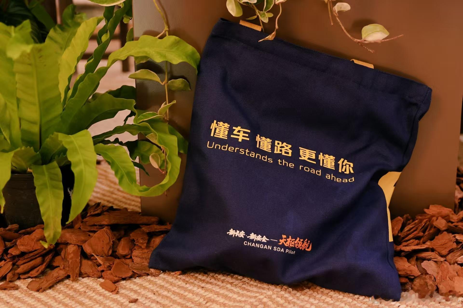 马上去参加长安天枢领航技术发布暨长安启源Q06预售发布会，今天还发了一个包，这意