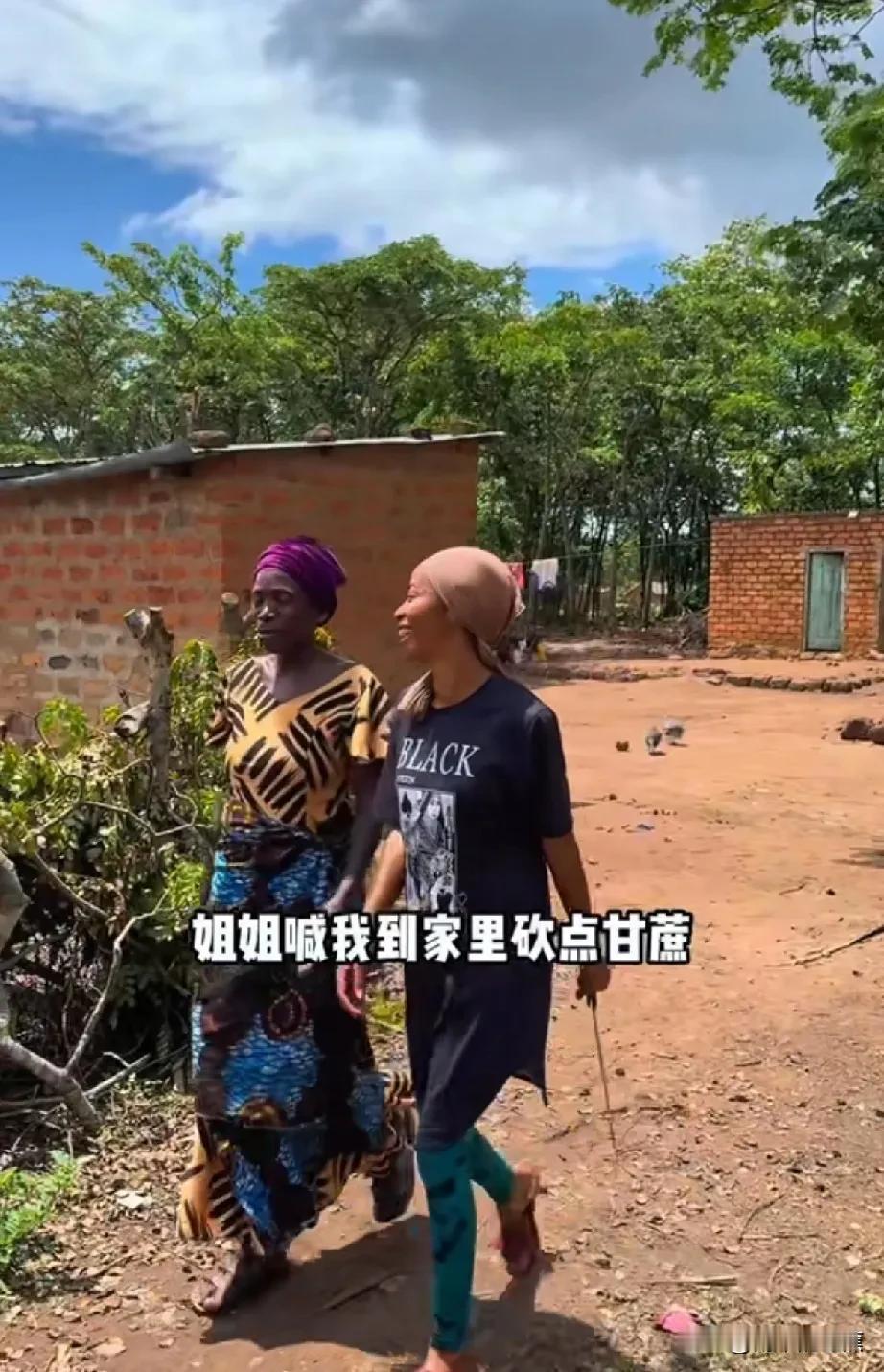 菲利斯今天的视频，看似无明确主题，然而透过摄影师光头强的镜头所展现的一个个生活场