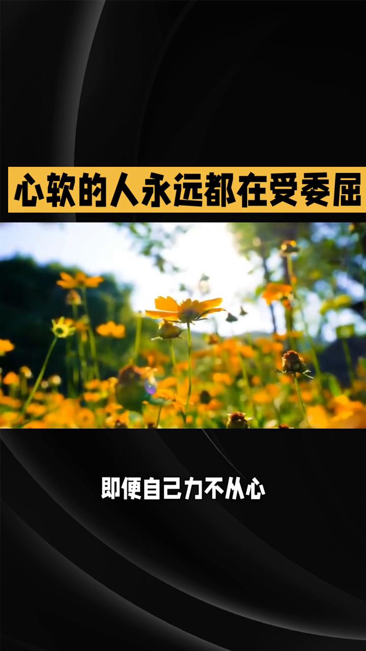 心软的人永远都在受委屈。心软的人就像手里攥着一把温柔的刀，从来不舍得伤害别人，却