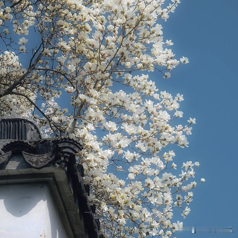 十二星座男认定你、想娶回家的征兆：
白羊男
不再冲动炸毛，对你超级耐心
开始规划