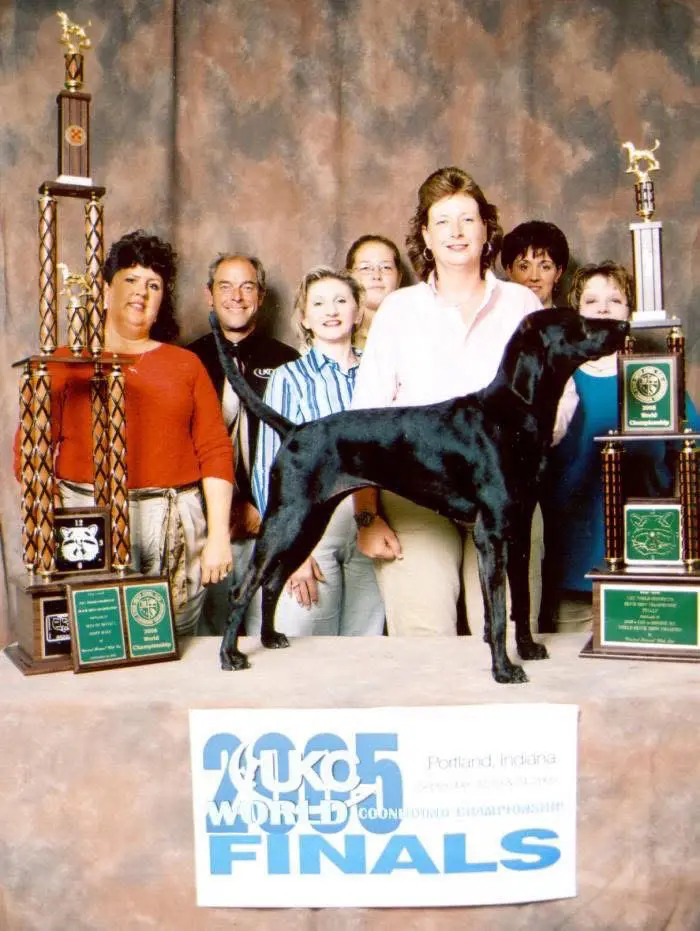 2005年UKC普罗特猎犬