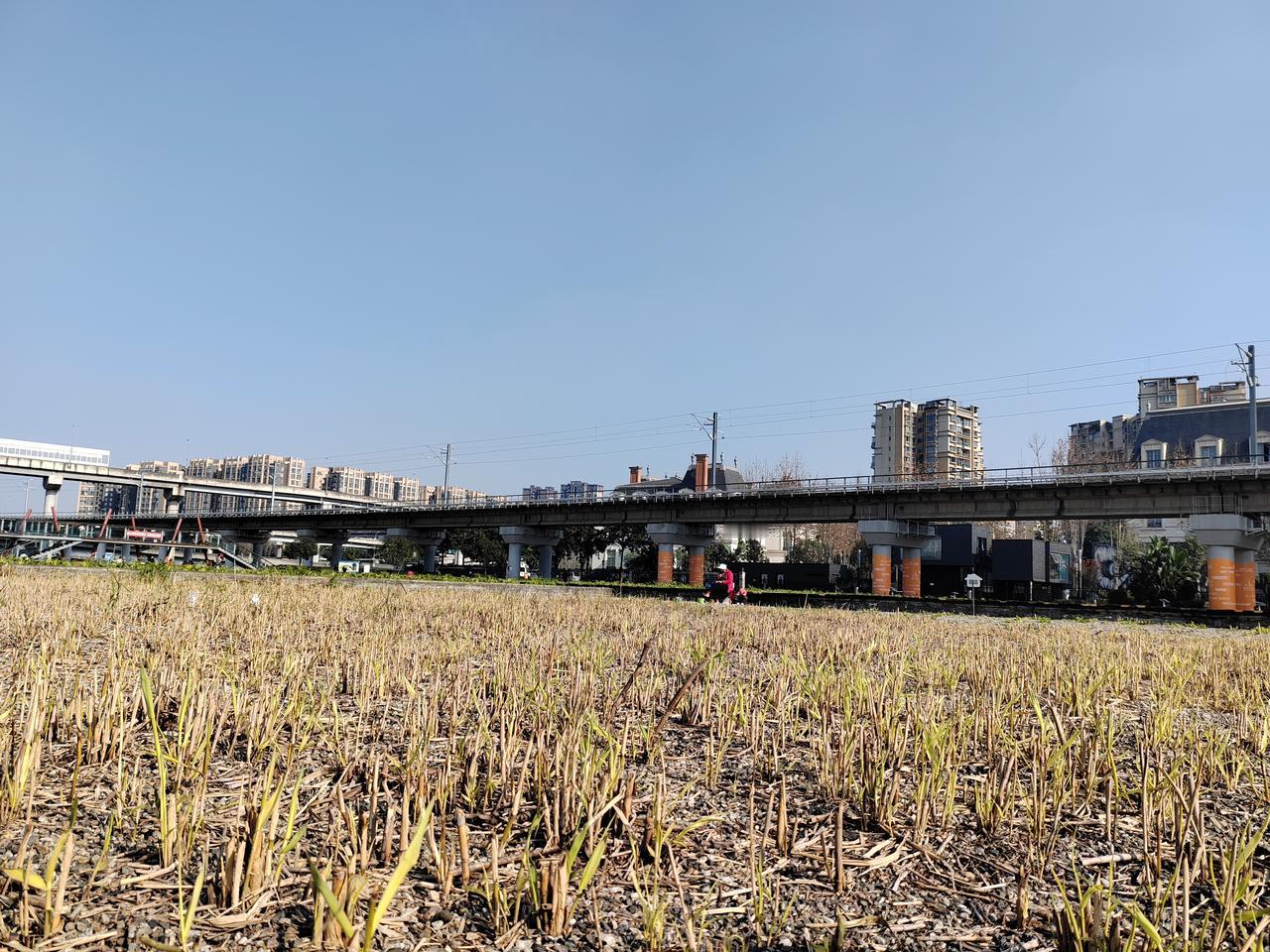 当城南的喧嚣停驻于路易城堡的欧式塔尖，一墙之隔，却是另一番天地。这片净化水湿地公