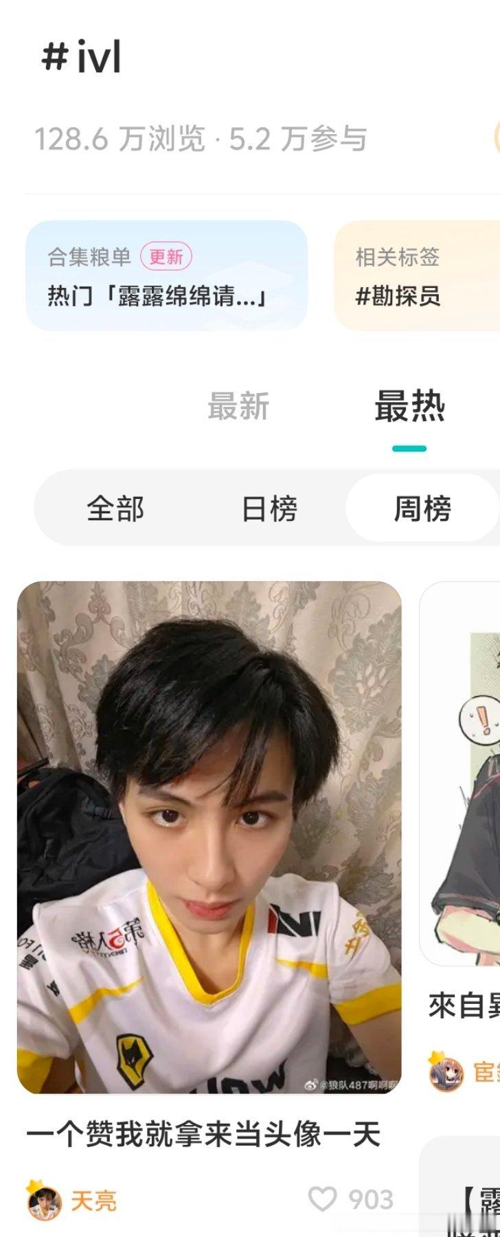ivl现状 
