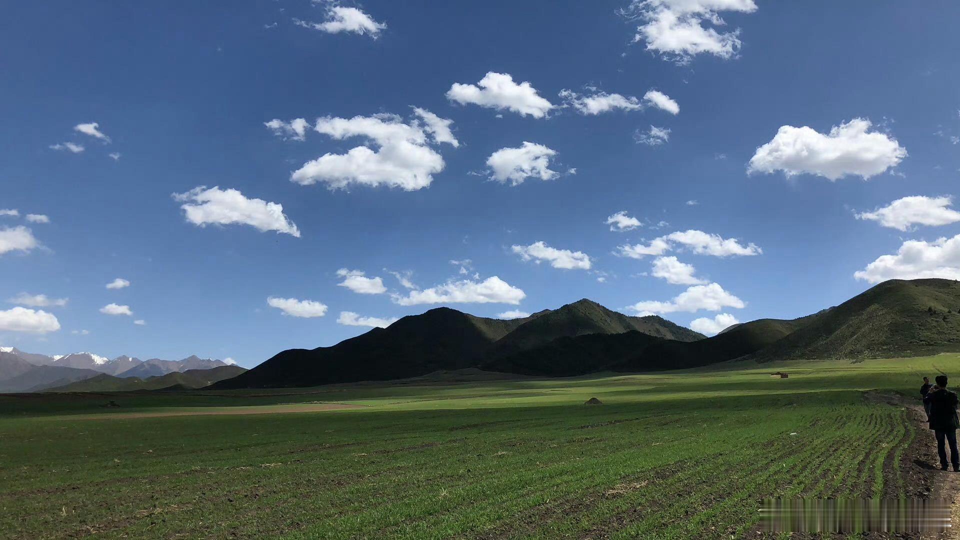 【百家媒体看民乐｜戈壁绿洲巧循环！解锁河西生态农业新范式🌱】在2026“镜览田